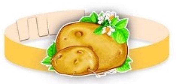 Маска-ободок Картошка Маска-ободок КартошкаКарнавальные костюмы, маски, парики<br>Карнавальные маски являются неотъемлемым атрибутом праздников. С помощью такой маски можно за одну секунду превратиться в другого человека, животное или фантастическое создание. Карнавальные маски привлекают внимание и завершают праздничное облачение.Мате...<br><br>Год: 2016<br>Высота: 140<br>Ширина: 260<br>Толщина: 1