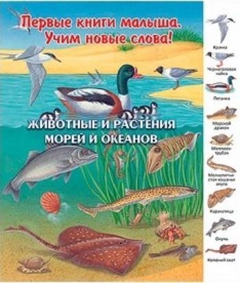 Животные и растения морей и океанов. Первые книги малыша. Учим новые слова Животные и растения морей и океанов. Первые книги малыша. Учим новые словаЗанятия с детьми дошкольного возраста<br>Уникальная серия Первые книги малыша. Учим новые слова, адресованная детям младшего дошкольного возраста, включает в себя 8 книг с картонными страницами: В лесу, На лугу и в поле, В пруду и у реки, На ферме, В детском саду, В зоопарке, Семь...<br><br>Год: 2015<br>ISBN: 978-5-88944-781-8<br>Высота: 250<br>Ширина: 220<br>Толщина: 5<br>Переплёт: твёрдая