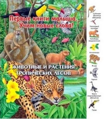 Животные и растения тропических лесов. Первые книги малыша. Учим новые слова Животные и растения тропических лесов. Первые книги малыша. Учим новые словаЗанятия с детьми дошкольного возраста<br>Уникальная серия Первые книги малыша. Учим новые слова, адресованная детям младшего дошкольного возраста, включает в себя 8 книг с картонными страницами: В лесу, На лугу и в поле, В пруду и у реки, На ферме, В детском саду, В зоопарке, Семь...<br><br>Год: 2015<br>ISBN: 978-5-88944-780-1<br>Высота: 250<br>Ширина: 220<br>Толщина: 5<br>Переплёт: твёрдая