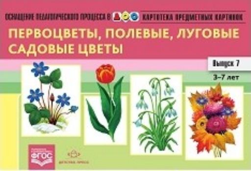 Картотека предметных картинок. Первоцветы, полевые, луговые, садовые цветы. Выпуск 7. Наглядный дидактический материал для детей 3-7 лет
Картотека предметных картинок. Первоцветы, полевые, луговые, садовые цветы. Выпуск 7. Наглядный дидактический материал для детей 3-7 лет