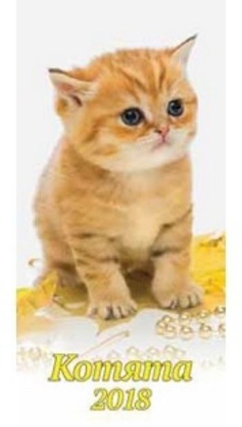 Календарь настенный Котята 2018 Календарь настенный Котята 2018Календари перекидные<br>Вашему вниманию предлагается настенный календарь на спирали с ригелем на 2018 год.<br><br>Год: 2017<br>Высота: 335<br>Ширина: 165<br>Толщина: 2