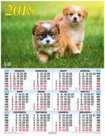 Календарь настенный Год собаки 1 2018 Календарь настенный Год собаки 1 2018Календарь-плакат<br>Вашему вниманию предлагается настенный календарь на 2018 год.Формат А2.<br><br>Год: 2017<br>Высота: 585<br>Ширина: 440<br>Толщина: 1