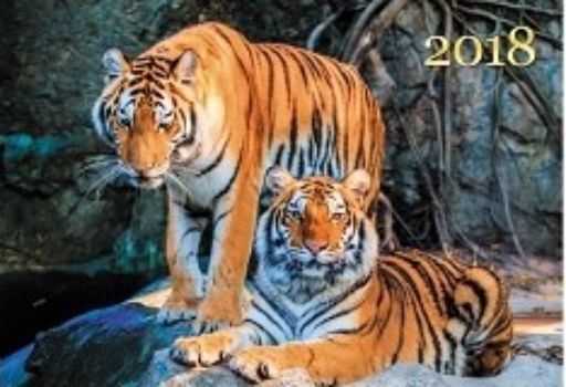 Календарь настенный одноблочный "Живая планета. Тигры" 2018
