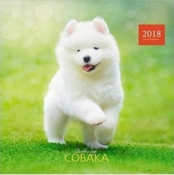 Календарь перекидной настенный Символ года. Милые щенки 2018 Календарь перекидной настенный Символ года. Милые щенки 2018Календари перекидные<br>Вашему вниманию предлагается настенный перекидной календарь на скрепке на 2018 год.Размер календаря в развернутом виде 56 см.<br><br>Год: 2017<br>Высота: 280<br>Ширина: 290<br>Толщина: 3