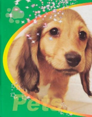 Тетрадь 48 л. Pets Такса Тетрадь 48 л. Pets Такса48 листов<br>Тетрадь 48 листов. Картонная обложка, бумага белая, клетка.<br><br>Год: 2011<br>Высота: 200<br>Ширина: 160<br>Толщина: 4