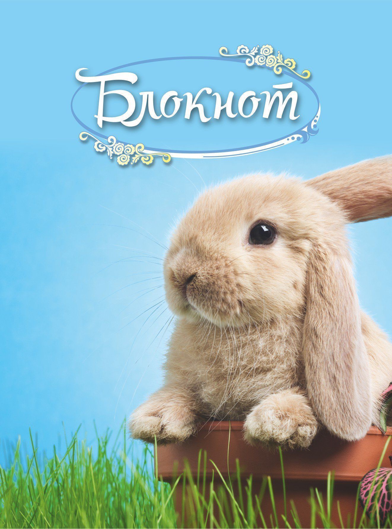 Блокнот (с изображением кролика) Блокнот (с изображением кролика)Блокноты, ежедневники<br>Формат А6.Вид линовки: чистый лист.<br><br>Год: 2017<br>Высота: 97<br>Ширина: 140<br>Толщина: 1<br>Переплёт: мягкая, скрепка