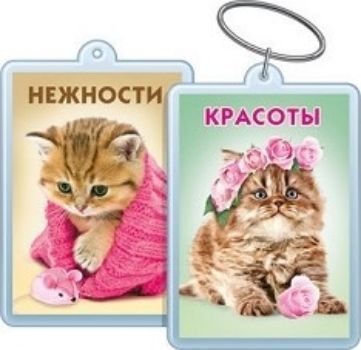 Брелок акриловый Красоты и нежности Брелок акриловый Красоты и нежностиБрелоки, подвески, зеркала<br>.<br><br>Год: 2017<br>Высота: 55<br>Ширина: 40<br>Толщина: 4