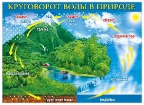 Плакат Круговорот воды в природе Плакат Круговорот воды в природеУчащимся и абитуриентам<br>Обучающий плакат в удобной и наглядной форме познакомит ребенка с окружающим миром.Формат А2. Материал: картон.<br><br>Год: 2017<br>Высота: 440<br>Ширина: 600<br>Толщина: 1