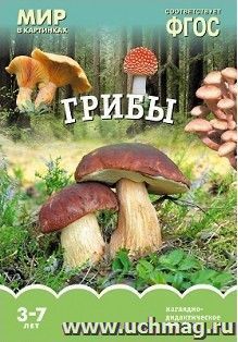 УчМаг