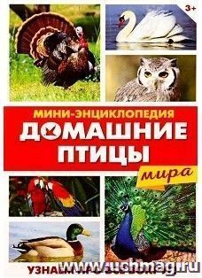 УчМаг