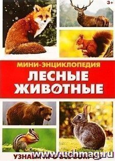 УчМаг