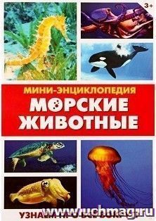 УчМаг