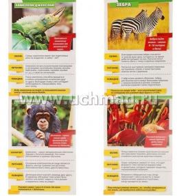 Мини-энциклопедия "Животные Африки" — интернет-магазин УчМаг
