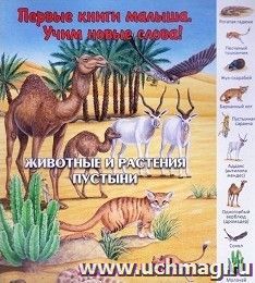 УчМаг