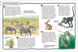 Млекопитающие. 100 фактов — интернет-магазин УчМаг