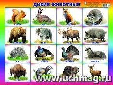 Плакат "Дикие животные" — интернет-магазин УчМаг