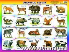 Плакат "Животные России" — интернет-магазин УчМаг