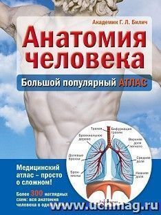 Анатомия человека. Большой популярный атлас — интернет-магазин УчМаг
