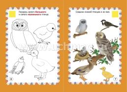 Мир птиц в заданиях и играх: из серии "Ознакомление с окружающим миром". Для детей 5-7 лет — интернет-магазин УчМаг