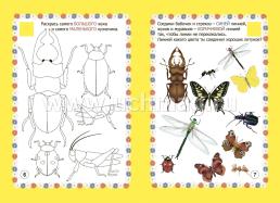 Мир насекомых в заданиях и играх из серии "Ознакомление с окружающим миром". Для детей 5-7 лет — интернет-магазин УчМаг