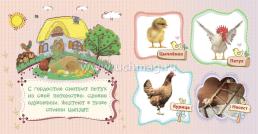 Домашние птицы и их птенцы: литературно-художественное издание для чтения родителями детям — интернет-магазин УчМаг