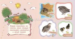 Домашние птицы и их птенцы: литературно-художественное издание для чтения родителями детям — интернет-магазин УчМаг