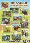 Тематический плакат. Животные и их детёныши: Формат А2
