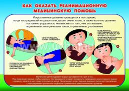 Комплект плакатов "Первая медицинская помощь": 4 плаката формата А3 с методическим сопровождением — интернет-магазин УчМаг