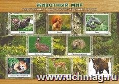 Плакат "Животный мир смешанных и широколиственных лесов": формат А3 — интернет-магазин УчМаг