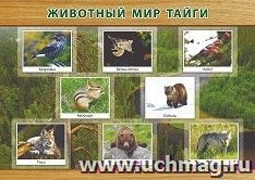 Плакат "Животный мир тайги": формат А3 — интернет-магазин УчМаг