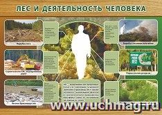 Плакат "Лес и деятельность человека": формат А3 — интернет-магазин УчМаг