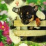 Календарь настенный на спирали с ригелем Евро "Забавные щенки и котята" 2024 — интернет-магазин УчМаг