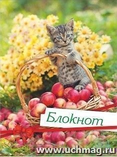 Блокнот (с изображением кошки) — интернет-магазин УчМаг