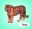 Млекопитающие: 12 развивающих карточек с красочными картинками, стихами и загадками для занятий с детьми — интернет-магазин УчМаг