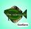 Рыбы: 12 развивающих карточек с красочными картинками, стихами и загадками для занятий с детьми — интернет-магазин УчМаг