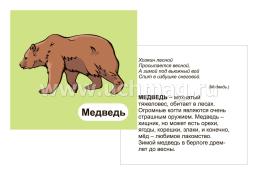 Лесные звери: 12 развивающих карточек с красочными картинками, стихами и загадками для занятий с детьми — интернет-магазин УчМаг