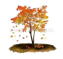 Времена года. Осень: 12 развивающих карточек с красочными картинками, стихами и загадками для занятий с детьми — интернет-магазин УчМаг