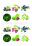 Игровой комплект с мнемосхемами по речевому развитию "Ягоды. Грибы". Старшая группа: 9 развивающих игр, 12 иллюстрированных карт-мнемосхем, 28 красочных — интернет-магазин УчМаг
