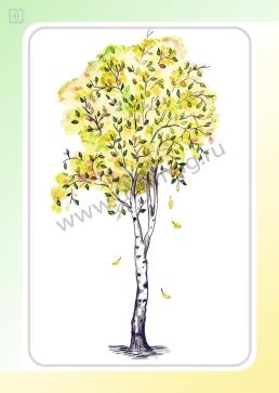Наглядно-тематический комплект "Календарь погоды. Осень". 32 цветные иллюстрации формата А4 на картоне — интернет-магазин УчМаг