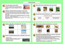 Окружающий мир. Зона пустынь. 1-4 классы: Таблица-плакат 420х297 — интернет-магазин УчМаг