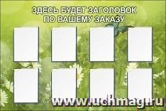 Стенд с 8 карманами А4: Размер: 1,5 м*1 м — интернет-магазин УчМаг