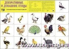 Плакат "Домашние и декоративные птицы" — интернет-магазин УчМаг