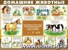 Плакат "Домашние животные" — интернет-магазин УчМаг