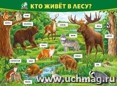 Плакат "Кто живет в лесу?" — интернет-магазин УчМаг