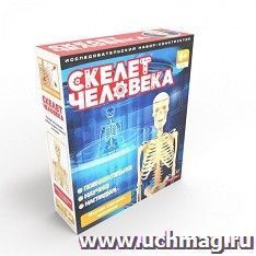Исследовательский набор "Скелет человека" — интернет-магазин УчМаг