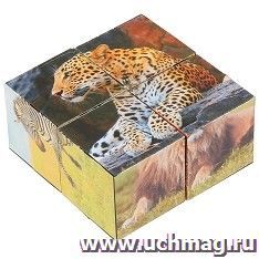 Набор кубиков "Экзотические животные", 4 шт — интернет-магазин УчМаг