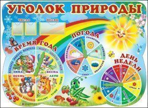 

Стенд "Уголок природы"