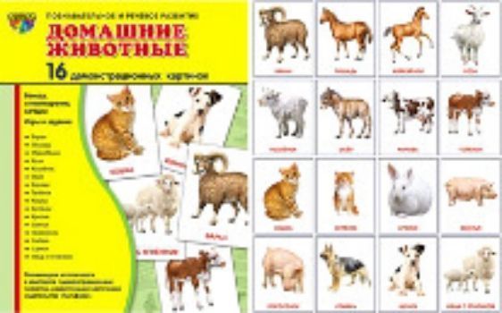 

Домашние животные. Демонстрационные картинки