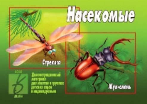

Демонстрационный материал. Насекомые