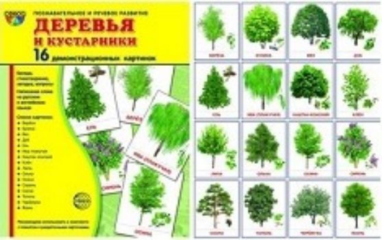 Картинки для детей деревья и кустарники, марта женщинам стихах